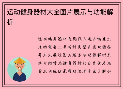 运动健身器材大全图片展示与功能解析