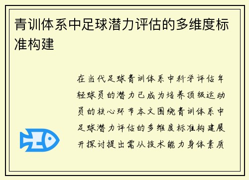 青训体系中足球潜力评估的多维度标准构建