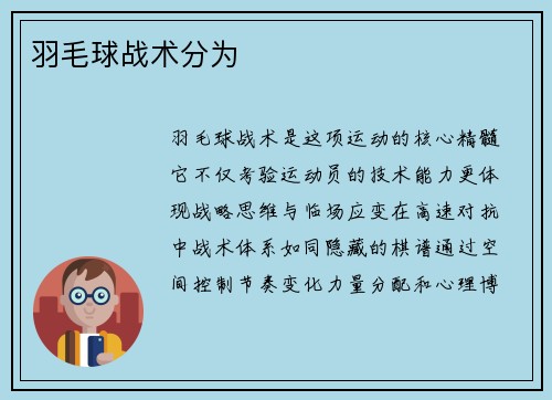 羽毛球战术分为